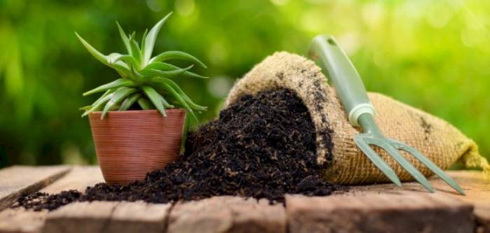 الجمعة.. أولى خطوات مشروع "السماد العضوي"