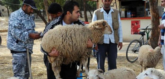 في بني خلاد.. مهن خاصة بعيد الاضحى فقط
