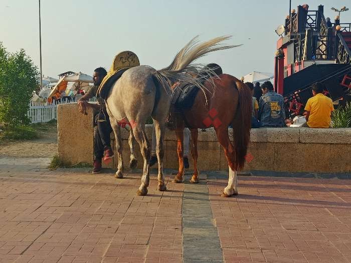 ألبوم صور | الإهمال يخيم على شاطئ بورسعيد