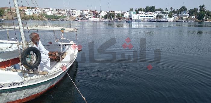 البوم صور -الطبيعة تتجلي على ضفاف نهر النيل بأسوان