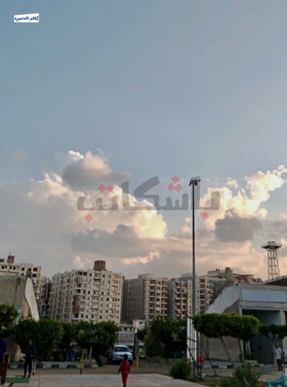 ألبوم صور  - أجواء مُمطرة في المنصورة