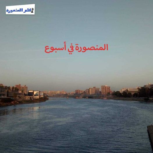 المنصورة في أسبوع.. نجاح جراحة لطفلة حديثة الولادة والاستعداد للعام الدراسي