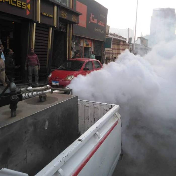 مواجهة الذباب في أسوان بحملات رش المبيدات