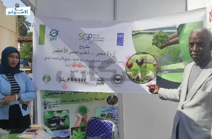 "الأزولا وملوحة الأرض".. أفكار شبابية تحوّل الزراعة إلى مستقبل مستدام