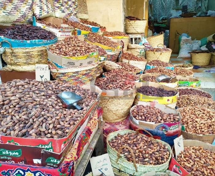 أسوان تمتلك 3.3 مليون نخلة.. فلماذا ترتفع أسعار تمورها؟