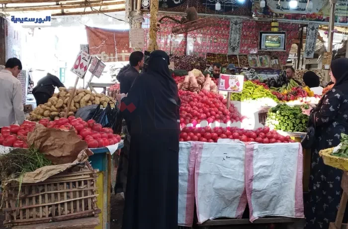 "وقت وفلوس".. ربات البيوت يكشفن نتيجة "تخزين الطعام" لرمضان  