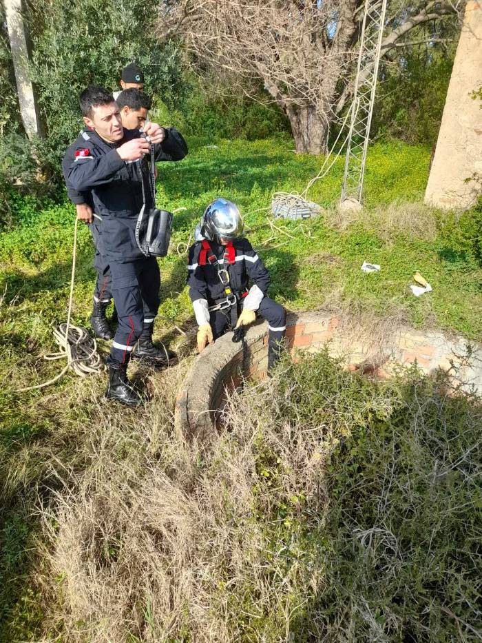 في "الكلبوسي".. قصة إنقاذ قطة سقطت في إحدى الآبار