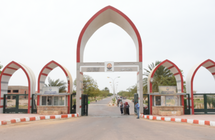 جامعة أسوان تشارك في مسابقة حول العنف الإلكتروني ضد المرأة