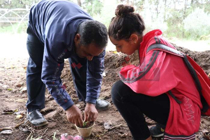 غدًا.. دورة تدريبية لتقليم أشجار القوارص