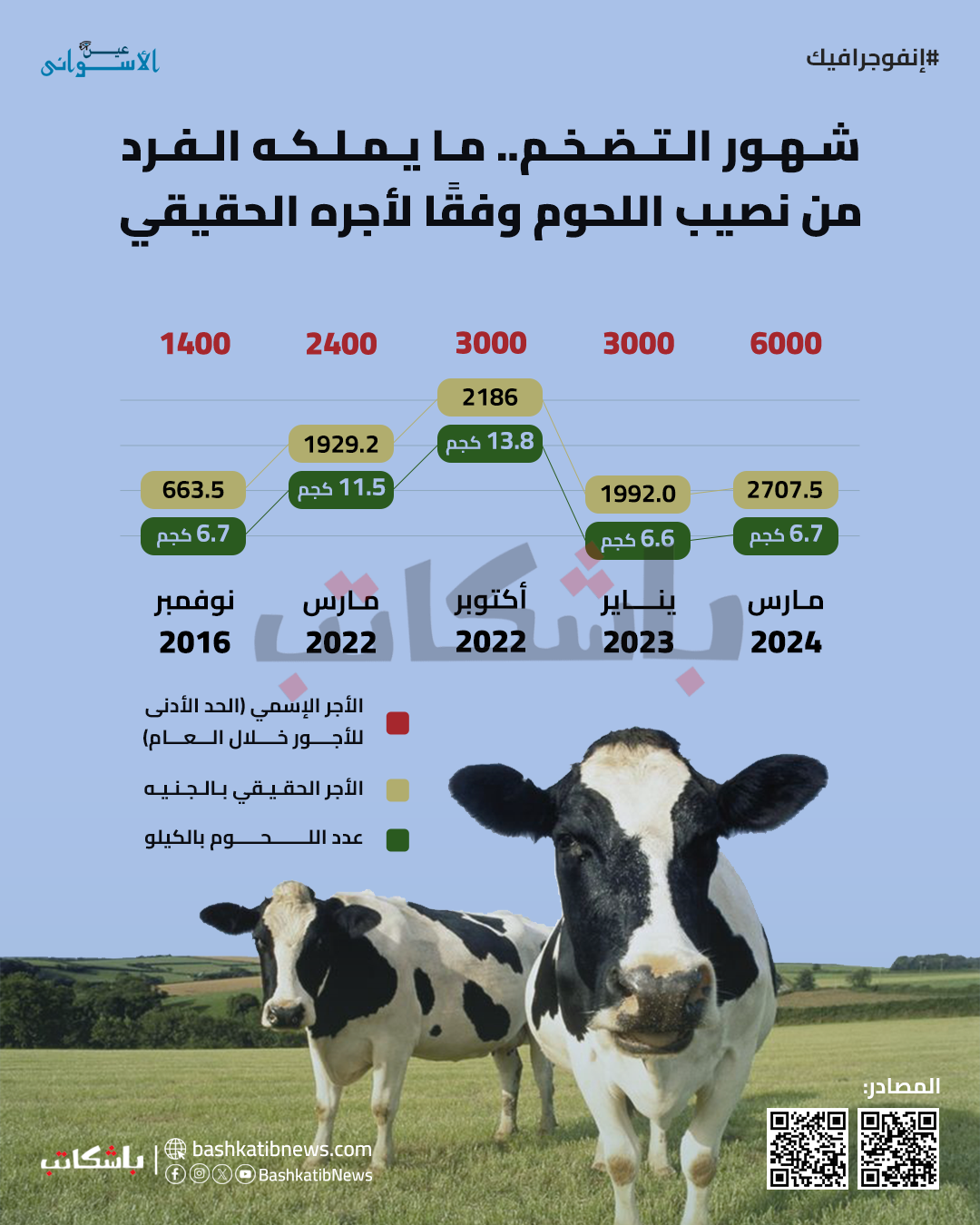 إنفوجرافيك | شهور التضخم.. ما يملكه الفرد من نصيب اللحوم وفقًا لأجره الحقيقي