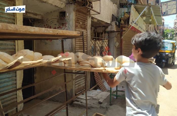 في وداع الخُبز "أبو شلن".. "العيشة تضيق بالمصريين"