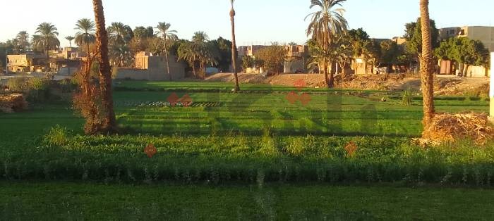 جمال الطبيعة في "أم دومة"