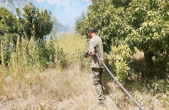 الأعلى منذ عقود.. موجة حارة بتونس تُشعل حرائق بعدة ضيعات