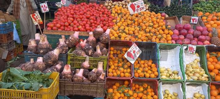 «قلقاس وقصب وصلاة اللقان».. أبرز مظاهر الاحتفال بعيد الغطاس لدى الأقباط