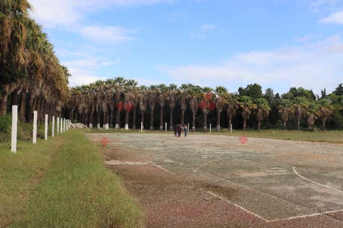 12 نوفمبر.. بني خلاد تحتفل بالعيد الوطني للشجرة