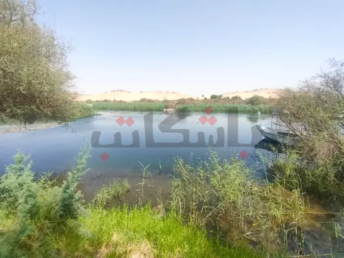 البيئة توضح حقيقة حريق محمية سالوجا وغزال بأسوان