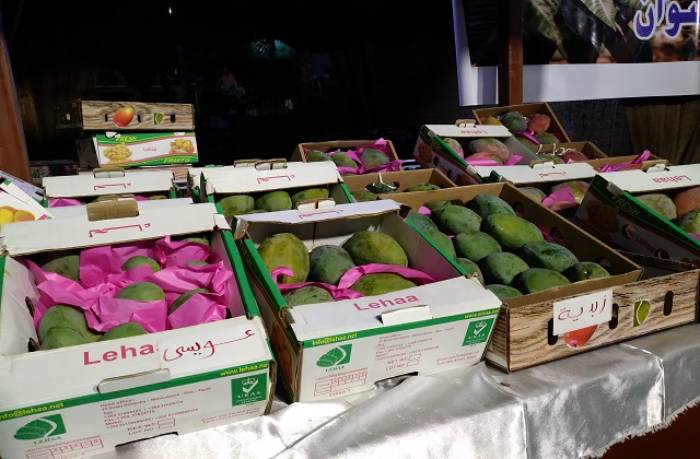 مهرجان المانجو في أسوان.. تنوع في الإنتاج وأسعار مخفضة