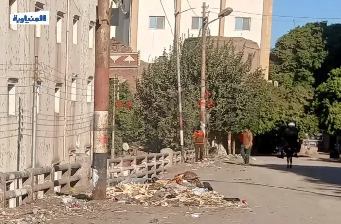"أمام الوحدة المحلية".. مواطنون يشكون من تكدس القمامة في إبشادات