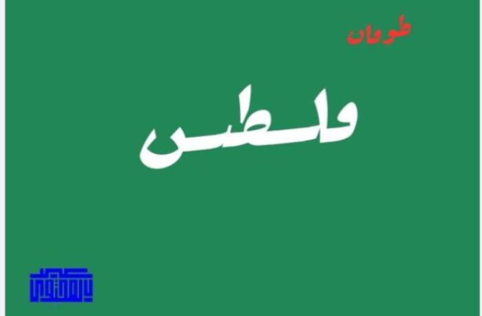 "حروف غير منقوطة" و"برمجيات"حيل المستخدمين لدعم فلسطين ومواجهة تضييق الخوارزميات