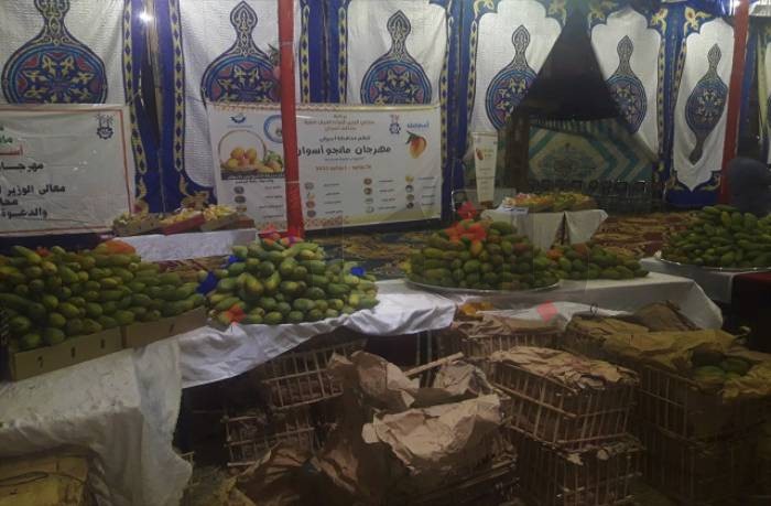 الأحد.. انطلاق مهرجان المانجو في أسوان