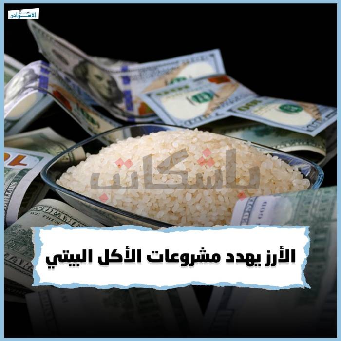 إحداهن توقفت عن "المحاشي” وأخرى تحدد الأسعار يوميًا.. "الأرز" يهدد صاحبات "الأكل البيتي"