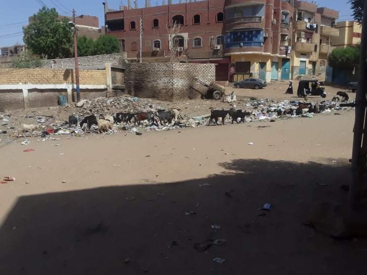 انتشار القمامة بخور عواضة يهدد صحة المواطنين