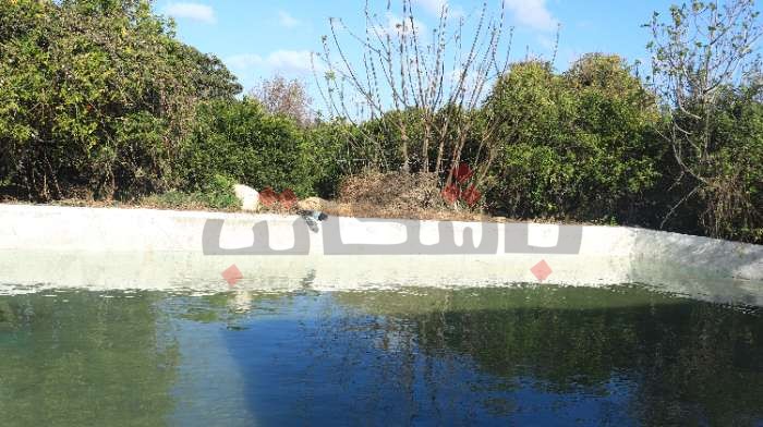 تكرر قطع المياه في تونس.. هل ينبئ بأزمة أكثر خطورة؟