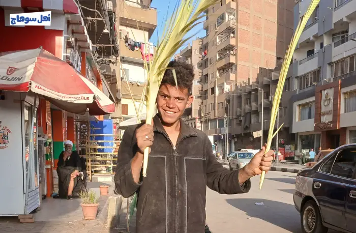 الأسعار تشعل "سعف العيد" في سوهاج