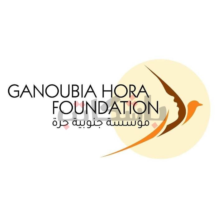 حتى 25 ديسمبر.. "جنوبية حرة" تنظم ورشة "مناهضة العنف الموجه للنساء"