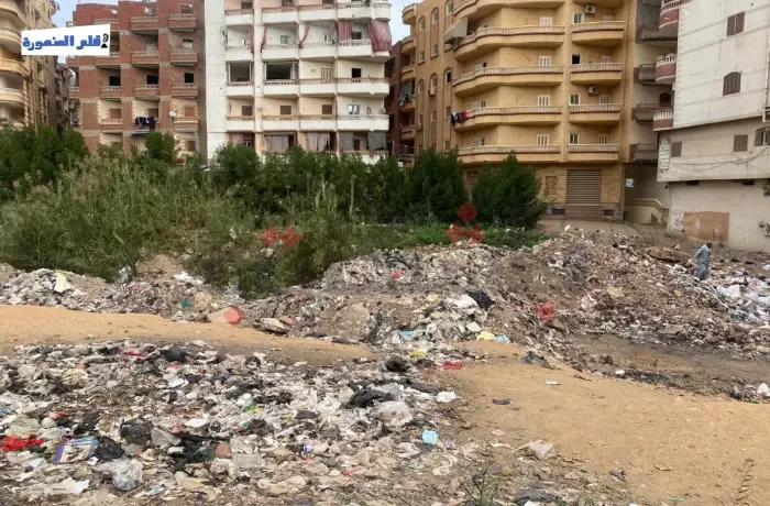 تراكم القمامة بمنطقة "المثلث".. وسكان: ندفع رسومًا بلا خدمات