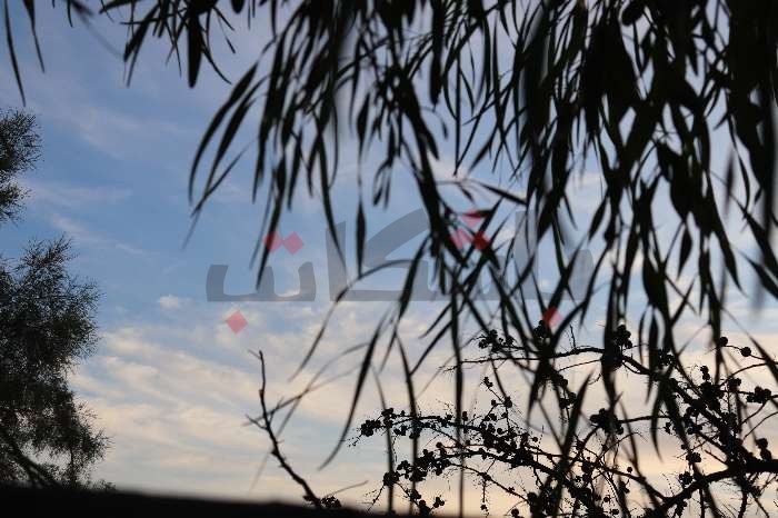 استقرار في الطقس بمعظم الولايات التونسية