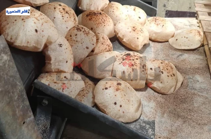 مواطنو طلخا يشكون الوقوف في طوابير دون صرف حصة الخبز كاملة