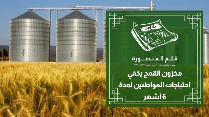 "مجلس الوزراء": لا صحة لوجود أزمة في مخزون القمح